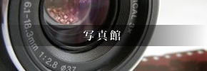 ʐ^